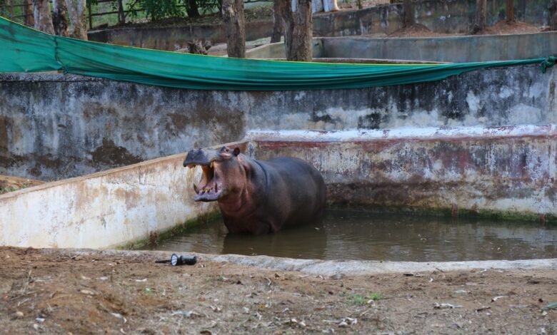 ಡಾ.ಸಮೀಕ್ಷಾ ರೆಡ್ಡಿ ಅವರನ್ನು ಬಲಿ ತೆಗೆದುಕೊಂಡ ನೀರಾನೆ
